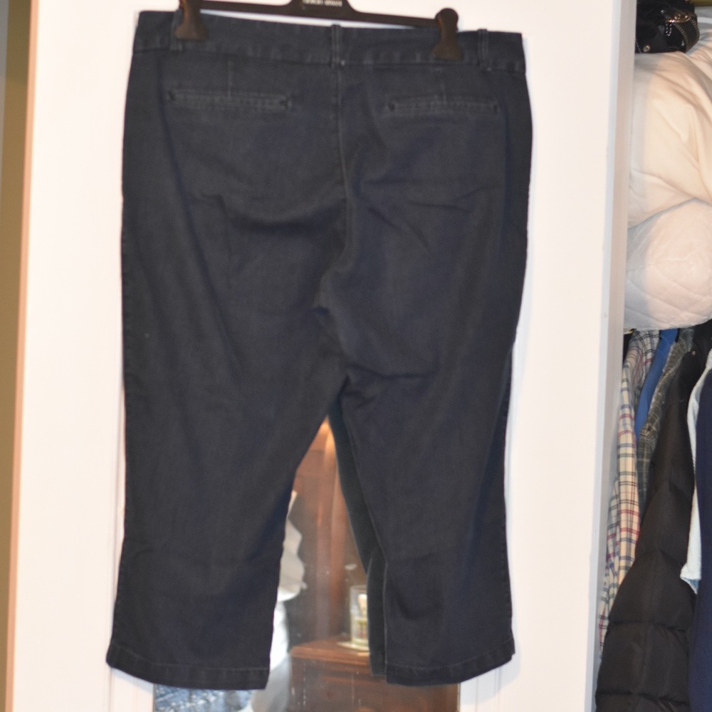 Capri Pants - Picture 2 of 2